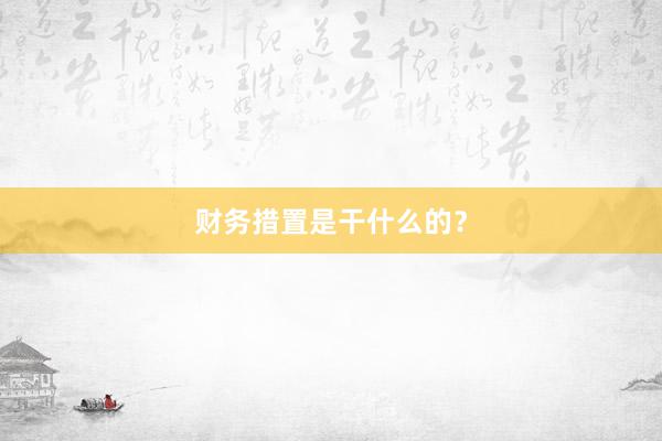 财务措置是干什么的？